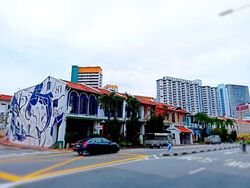 Duxton Road (D2), Shop House #560825051